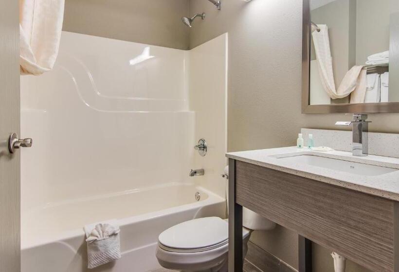 Номер Стандарт, Quality Inn & Suites Grove Cityoutlet Mall