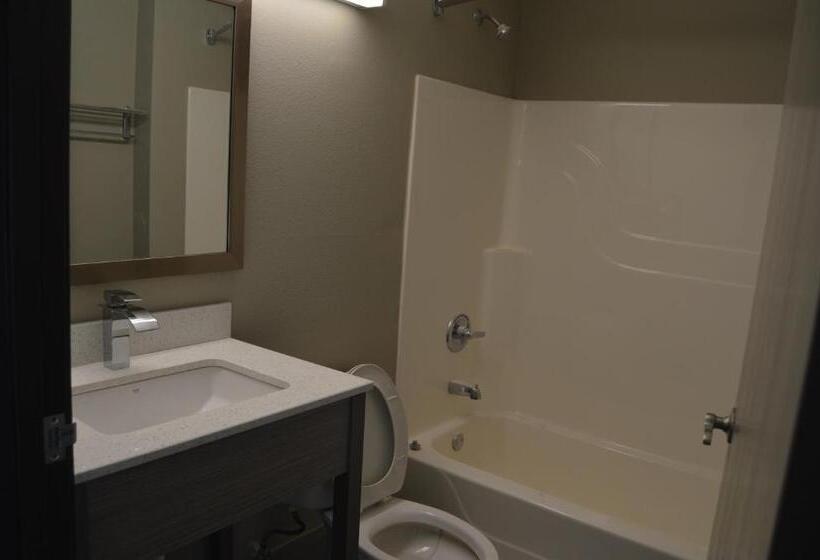 Люкс Кровать Кинг, Quality Inn & Suites Grove Cityoutlet Mall
