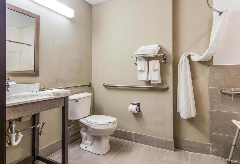 Стандартный Номер Кровать Кинг, Quality Inn & Suites Grove Cityoutlet Mall