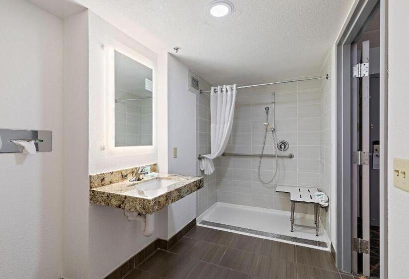 Номер Стандарт Кровать Кинг Адаптированный для Инвалидов, Americinn By Wyndham Rochester Near Mayo Clinic