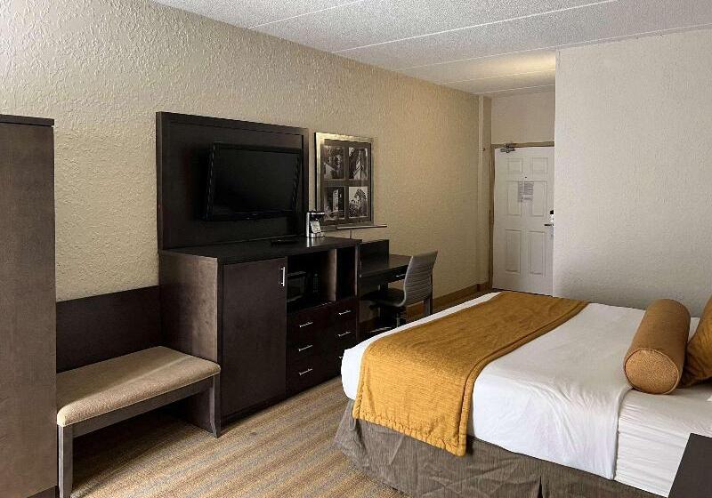 Стандартный Номер Кровать Кинг, Americinn By Wyndham Rochester Near Mayo Clinic
