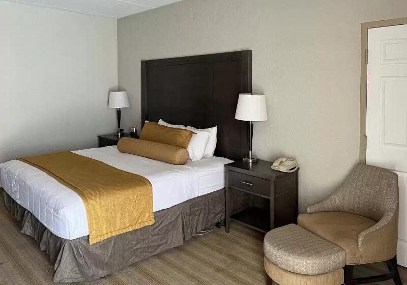 Номер Стандарт Кровать Кинг Адаптированный для Инвалидов, Americinn By Wyndham Rochester Near Mayo Clinic
