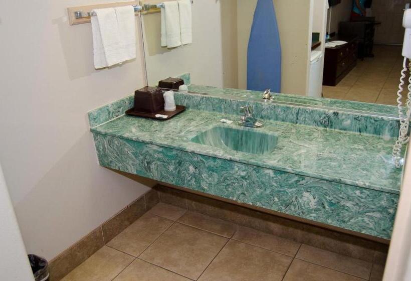 Номер Стандарт, Texas Inn And Suites City Center At University Dr