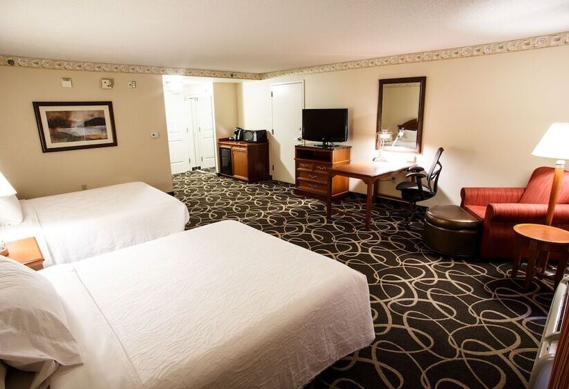Номер Стандарт, Hilton Garden Inn Gettysburg