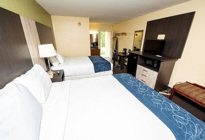 带2个双人床的标准工作室, River Place Inn