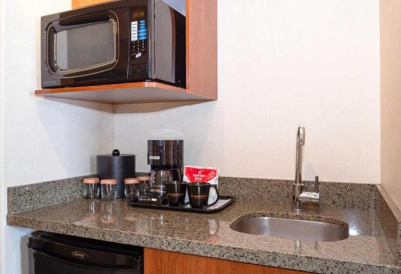 سوئیت با تخت بزرگ, Sandman Hotel & Suites Winnipeg Airport
