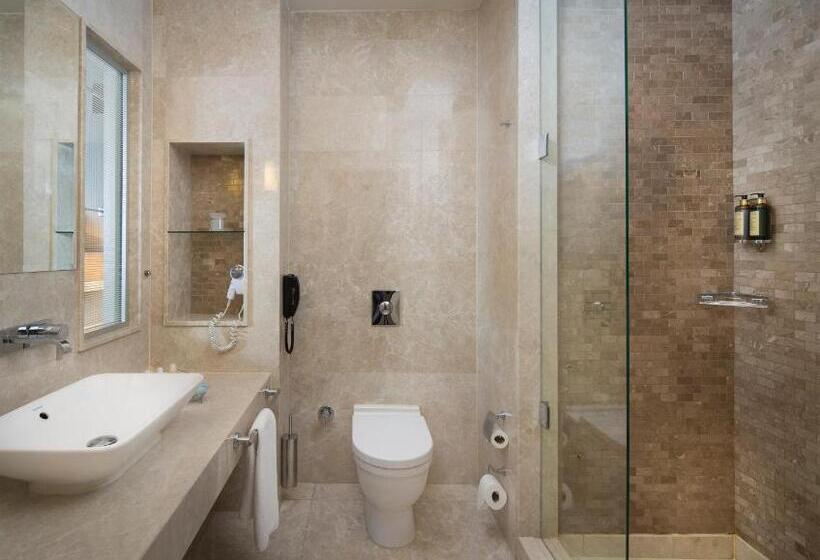 Superior Room, Titanic Business Kartal