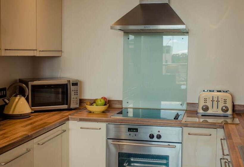 带1个卧室的公寓, Premier Suites Dublin Sandyford