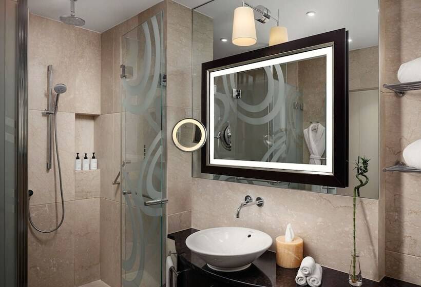 اتاق استاندارد با چشم‌انداز, Grand Hotel River Park, A Luxury Collection Hotel, Bratislava