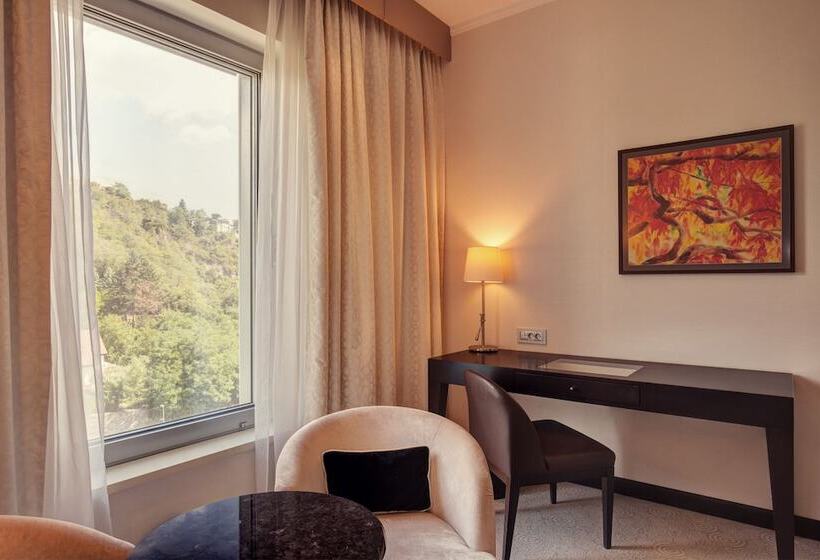 سوییت, Grand Hotel River Park, A Luxury Collection Hotel, Bratislava