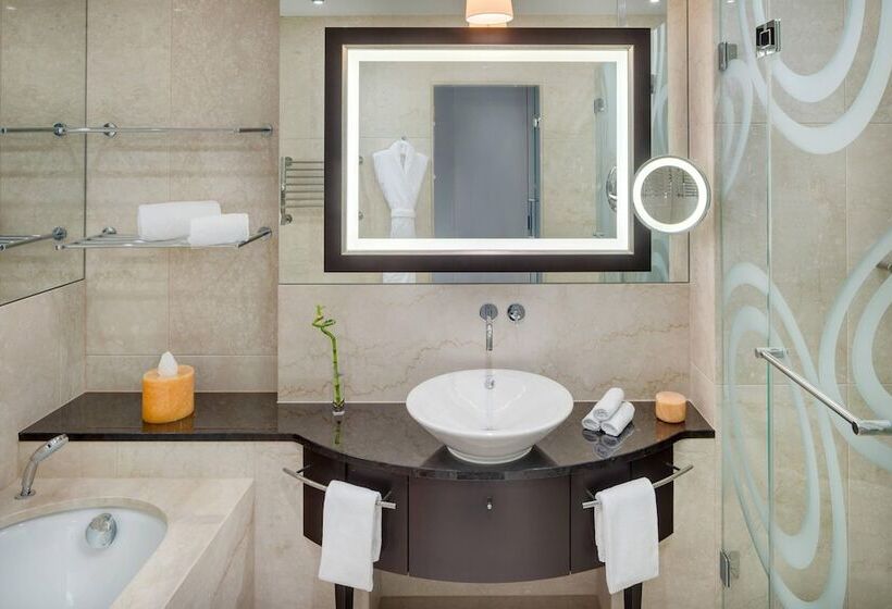 اتاق استاندارد با تخت بزرگ, Grand Hotel River Park, A Luxury Collection Hotel, Bratislava
