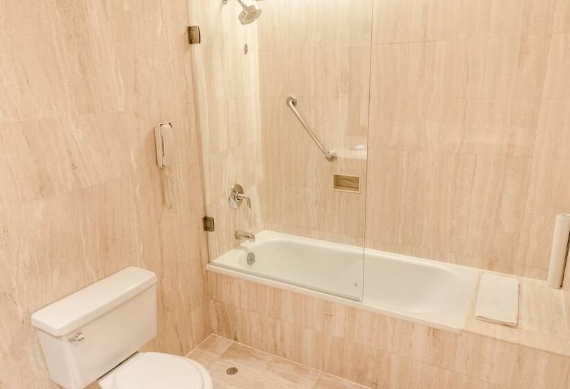 اتاق پریمیوم با چشم‌انداز باغ, Wyndham Costa Del Sol Arequipa