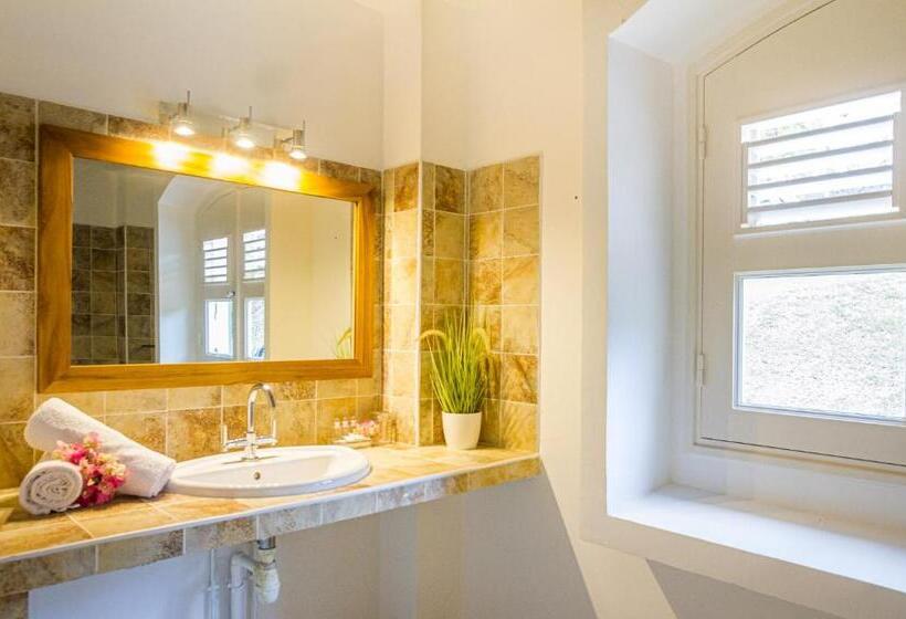 ویلای یک اتاق خوابه با استخر شنا, Habitation Du Comté