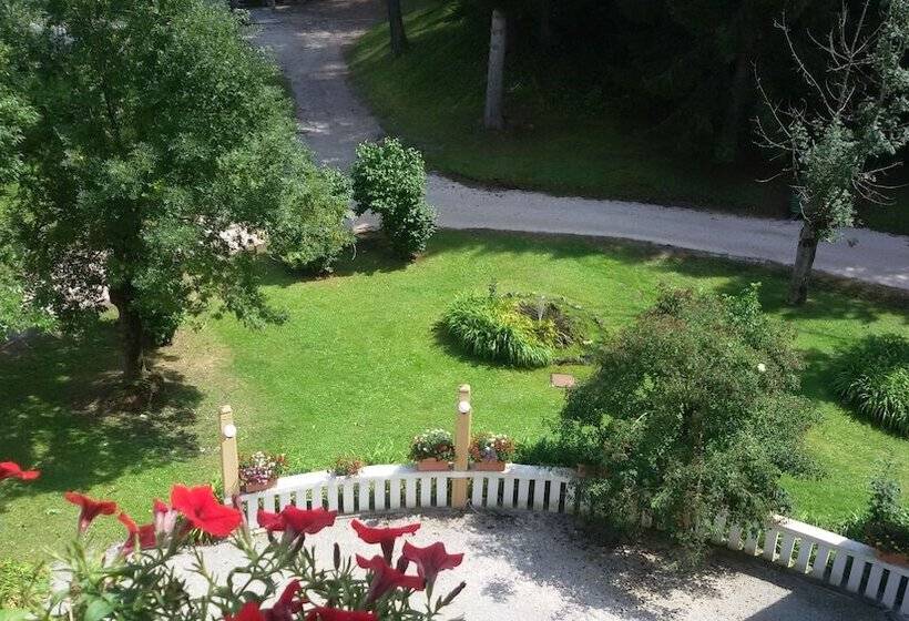 Полулюкс Вид на Горы, Miramonti Majestic Grand