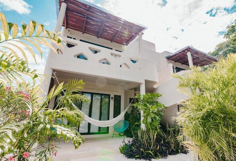 Sviitti King-vuode, Blue Palm Bacalar
