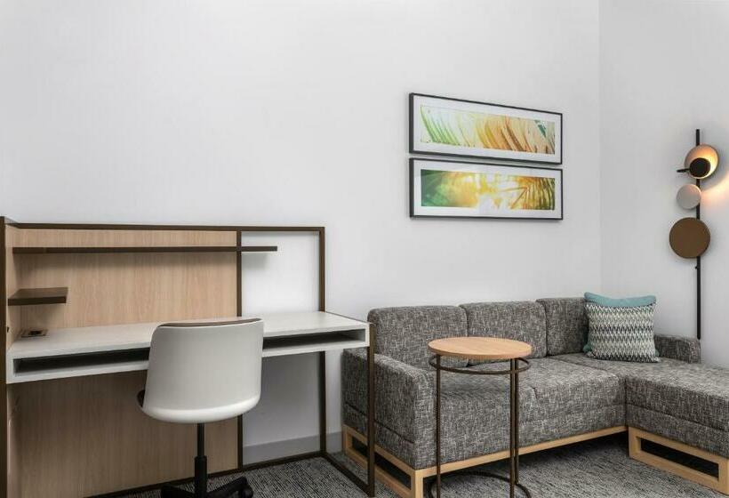 استودیو استاندارد با تخت کینگ, Towneplace Suites By Marriott Orlando Southwest Near Universal
