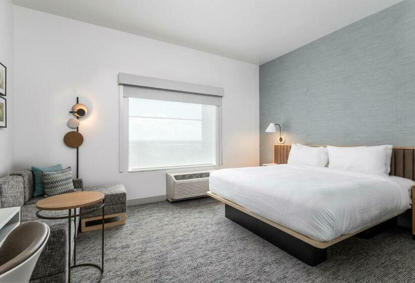 استودیو استاندارد با تخت کینگ, Towneplace Suites By Marriott Orlando Southwest Near Universal