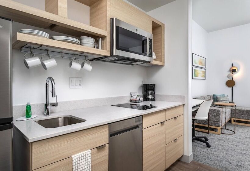 سوئیت برای معلولان, Towneplace Suites By Marriott Orlando Southwest Near Universal