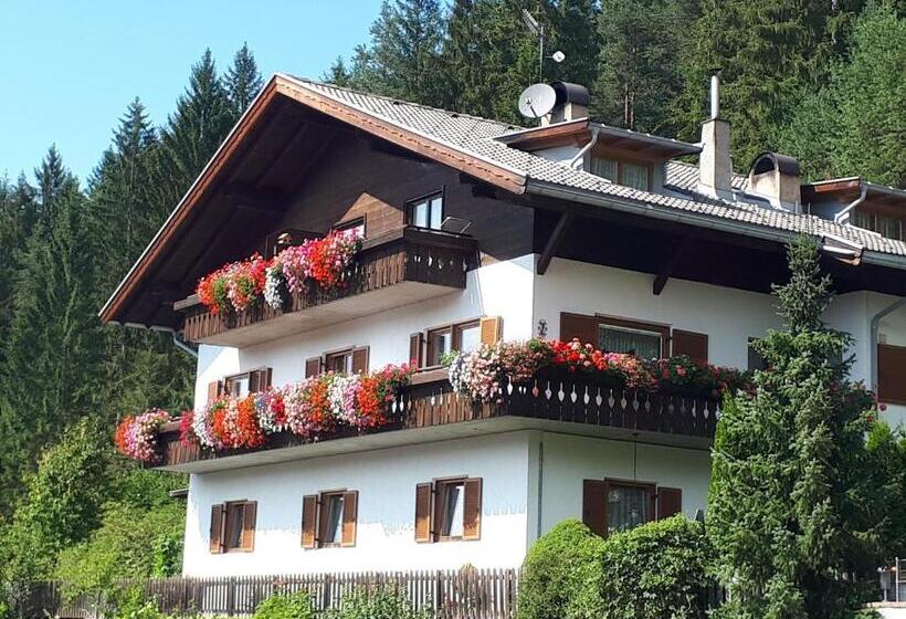 Апартаменты 1 Спальня с Балконом, Apartments Kranebitt