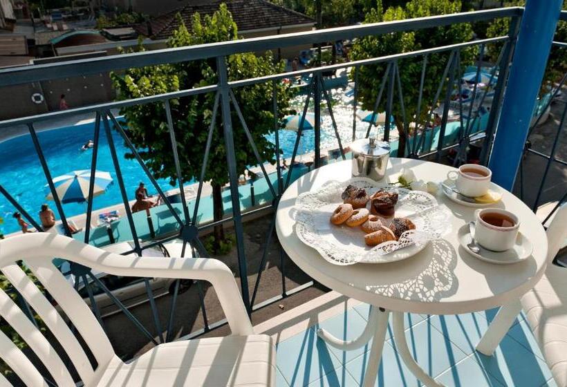 Номер Superior, Paris Resort