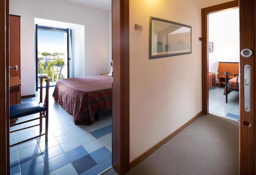 Номер Superior Смежный, Paris Resort
