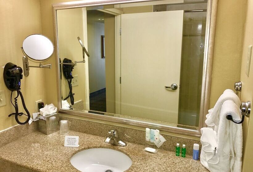Люкс, Clarion Hotel & Suites Hamden New Haven