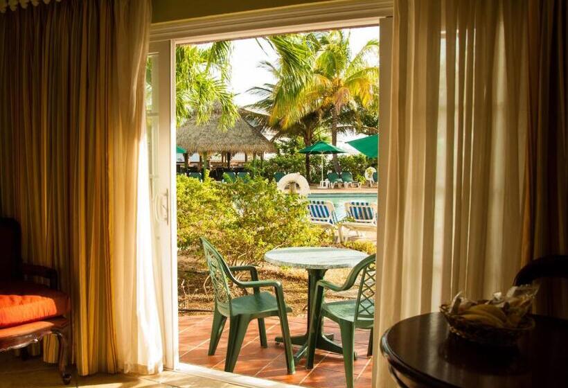 اتاق استاندارد با چشم‌انداز استخر, Coco Palm