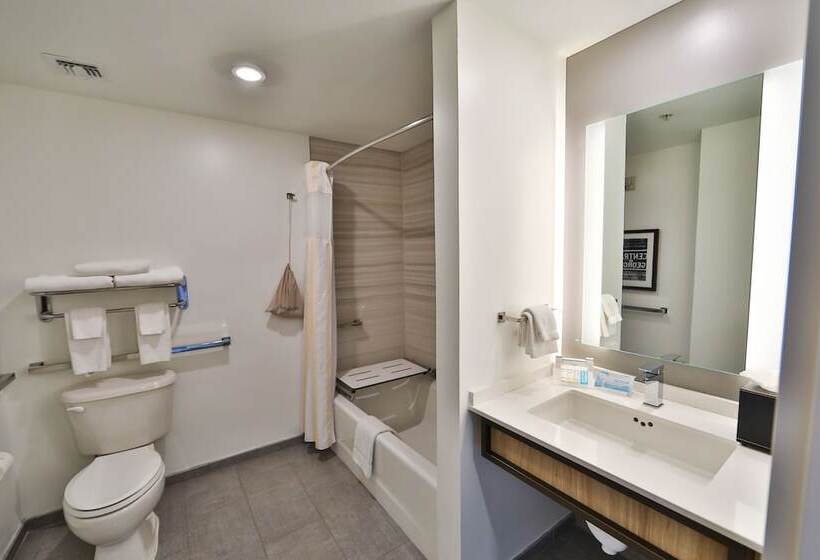 חדר סטנדרט מותאם לאדם עם מוגבלויות, Hilton Garden Inn Savannah Historic District