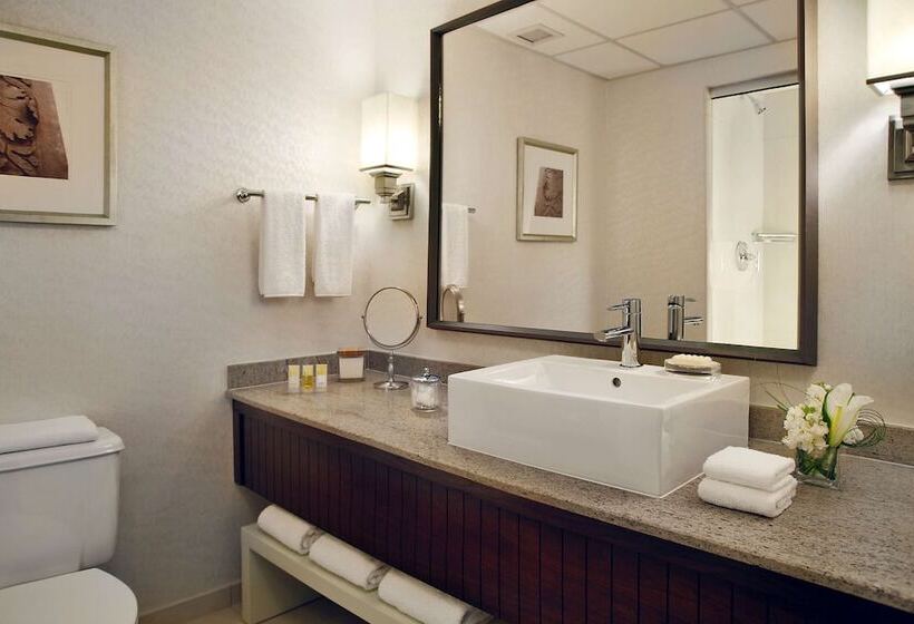 주니어 스위트, Hyatt Regency Saint Louis At The Arch