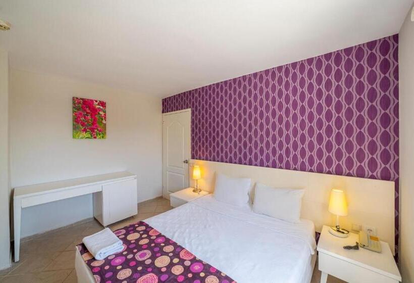 اتاق استاندارد چهارنفره با بالکن, Riva Bodrum Resort Adult Only +16
