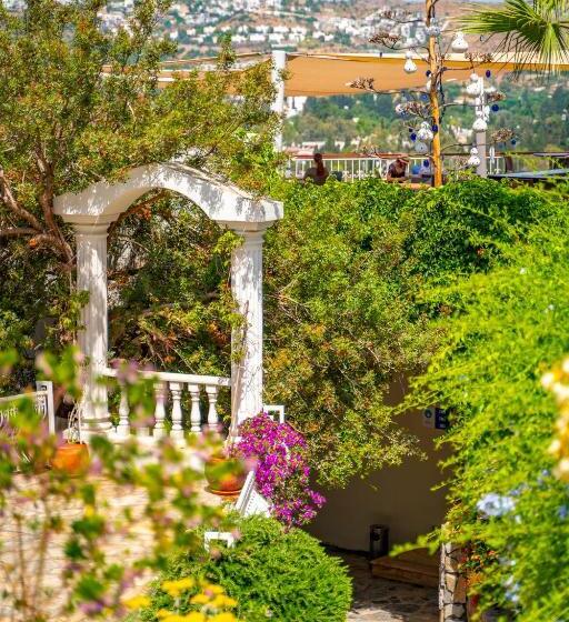 اتاق کلاب یک تخته, Riva Bodrum Resort Adult Only +16
