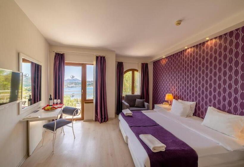 اتاق سوپریور یک تخته, Riva Bodrum Resort Adult Only +16