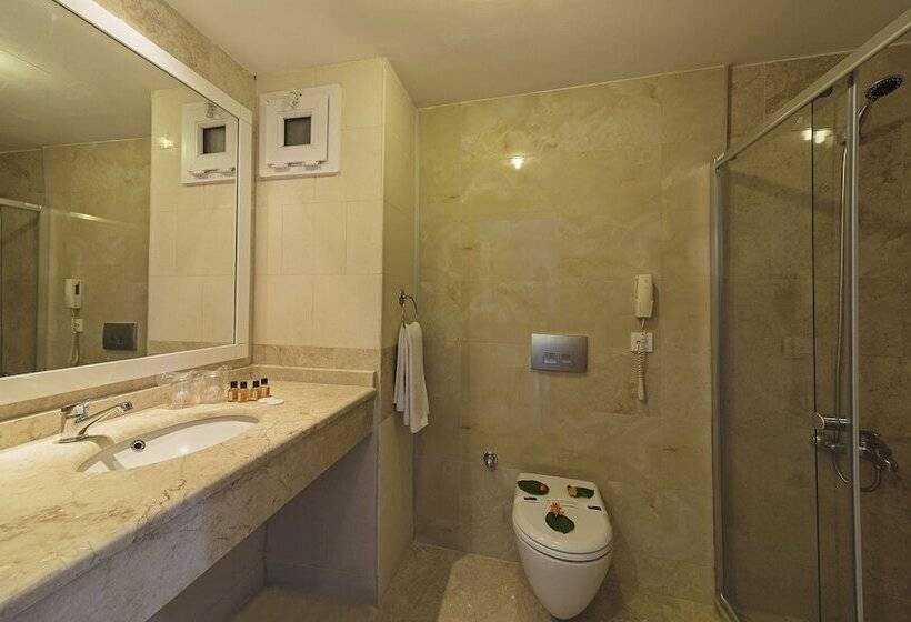 اتاق سوپریور, Riva Bodrum Resort Adult Only +16