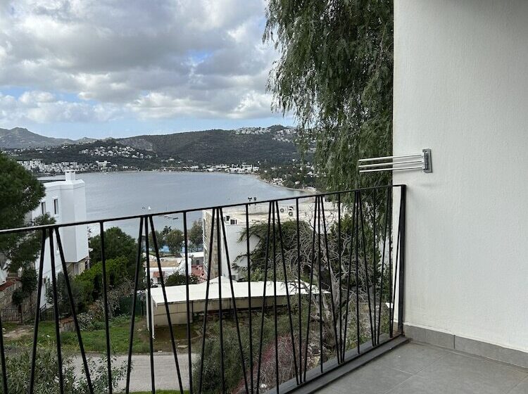 اتاق کلاب یک تخته, Riva Bodrum Resort Adult Only +16