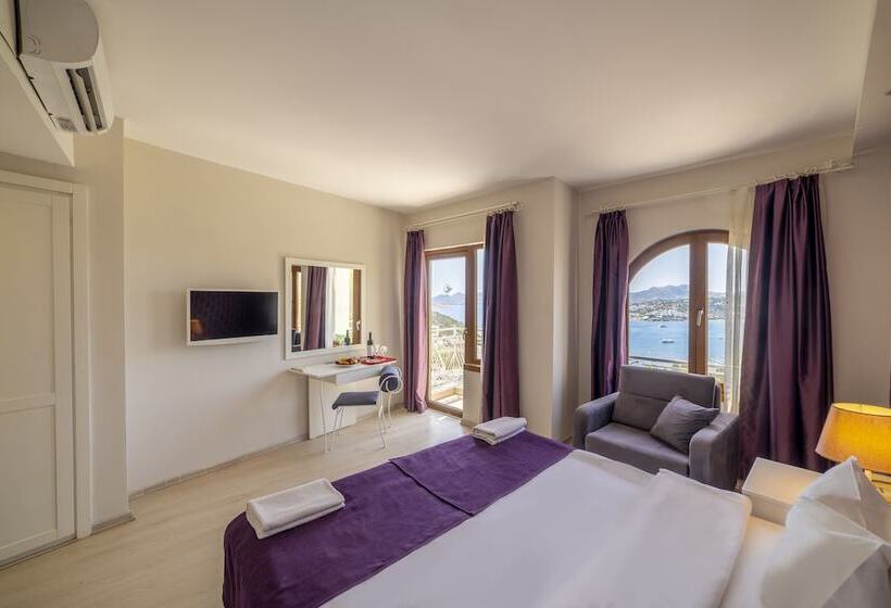 اتاق سوپریور یک تخته, Riva Bodrum Resort Adult Only +16
