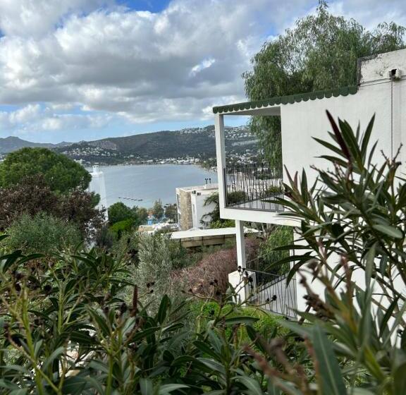 اتاق کلاب یک تخته, Riva Bodrum Resort Adult Only +16