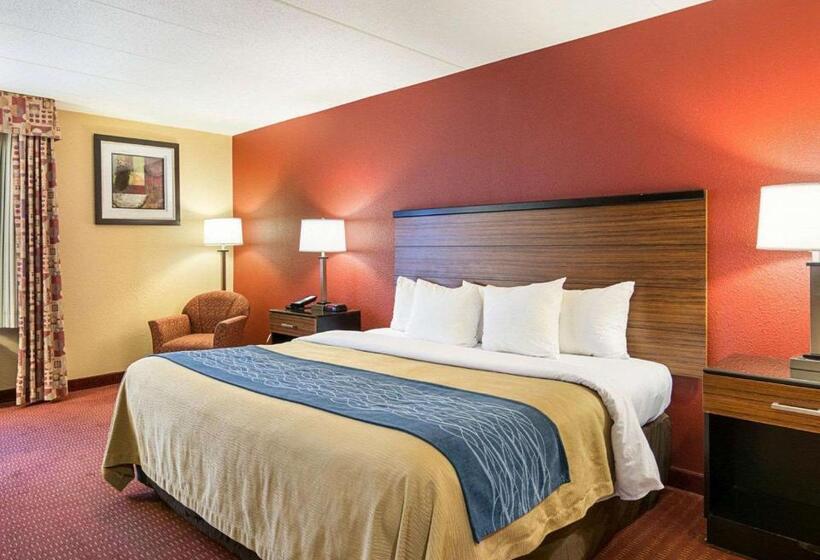 스탠다드 룸 킹사이즈 침대, Comfort Inn