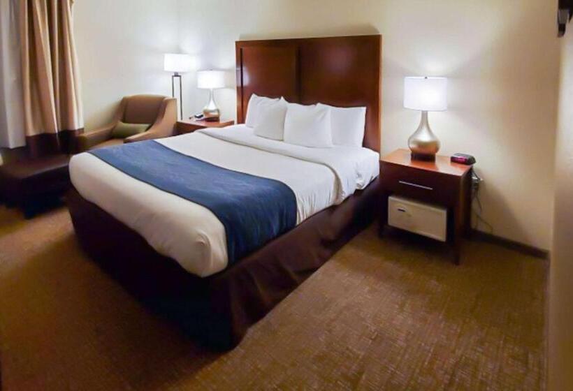 장애인을 위한 킹사이즈 침대 스탠다드 룸, Comfort Inn