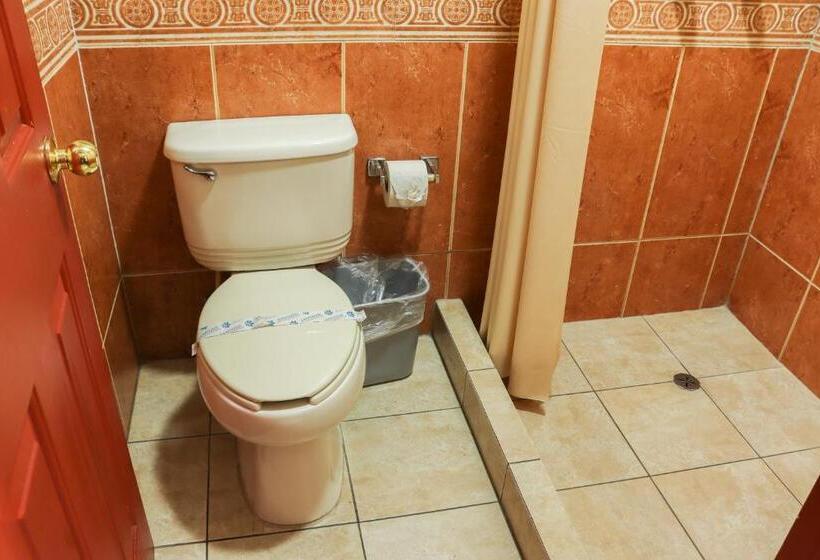 スタンダードルーム, Baja Inn Hoteles La Mesa