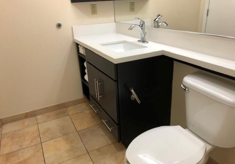 Standard Studio, Candlewood Suites Fort Wayne   Nw, An Ihg