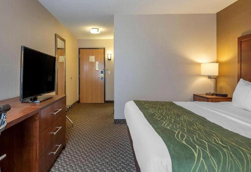 Стандартный Номер Кровать Кинг, Comfort Inn Charlotte