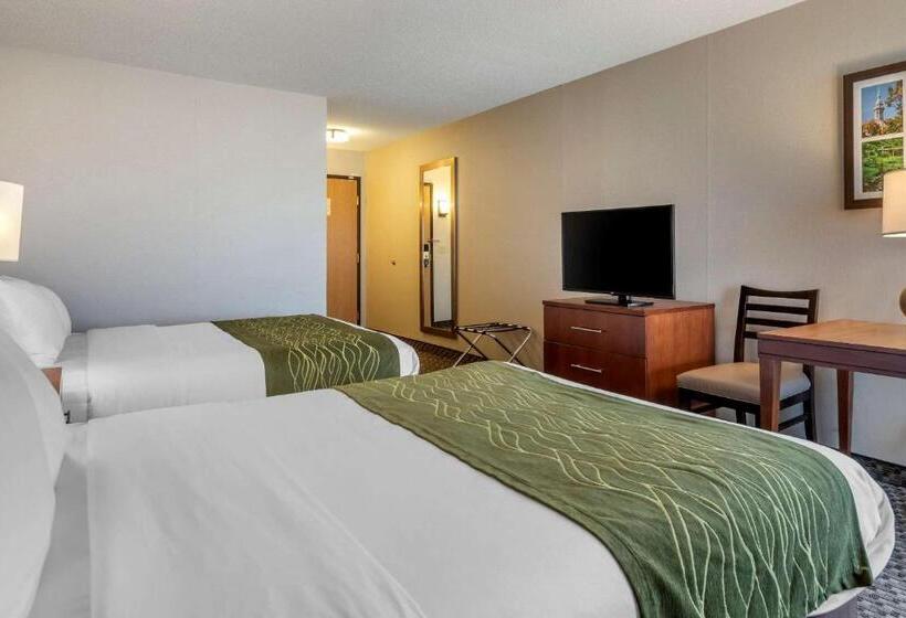 Номер Стандарт, Comfort Inn Charlotte