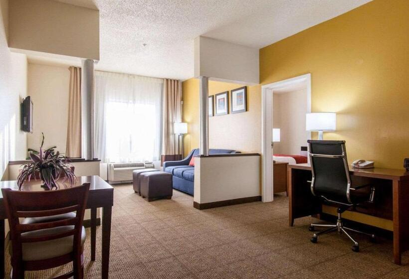 سوئیت با تخت بزرگ, Comfort Suites Central I 44