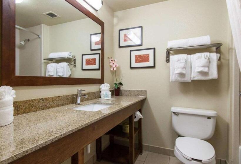 سوئیت با تخت بزرگ, Comfort Suites Central I 44