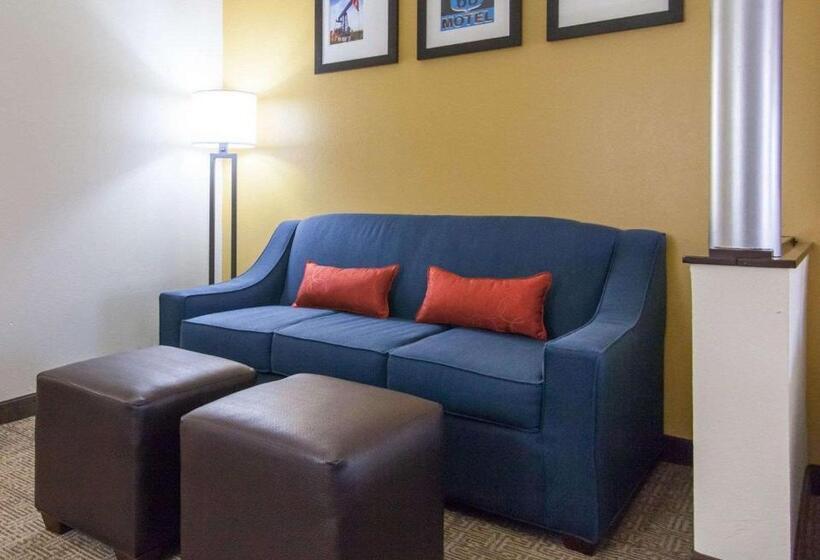 سوئیت با تخت بزرگ, Comfort Suites Central I 44