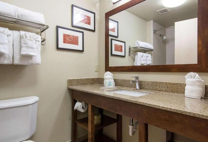 سوئیت با تخت بزرگ, Comfort Suites Central I 44