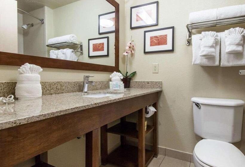سوییت, Comfort Suites Central I 44