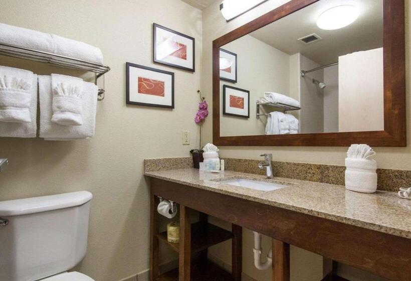 سوییت, Comfort Suites Central I 44