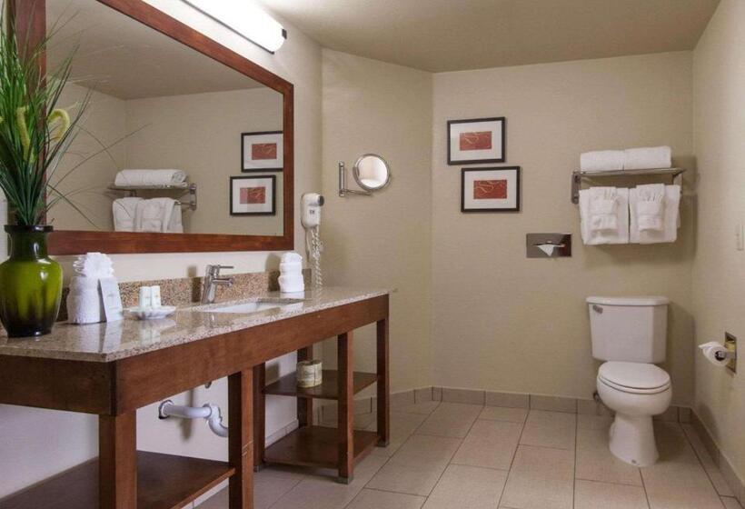 سوییت, Comfort Suites Central I 44