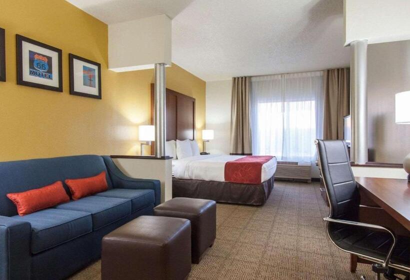 سوئیت برای معلولان, Comfort Suites Central I 44